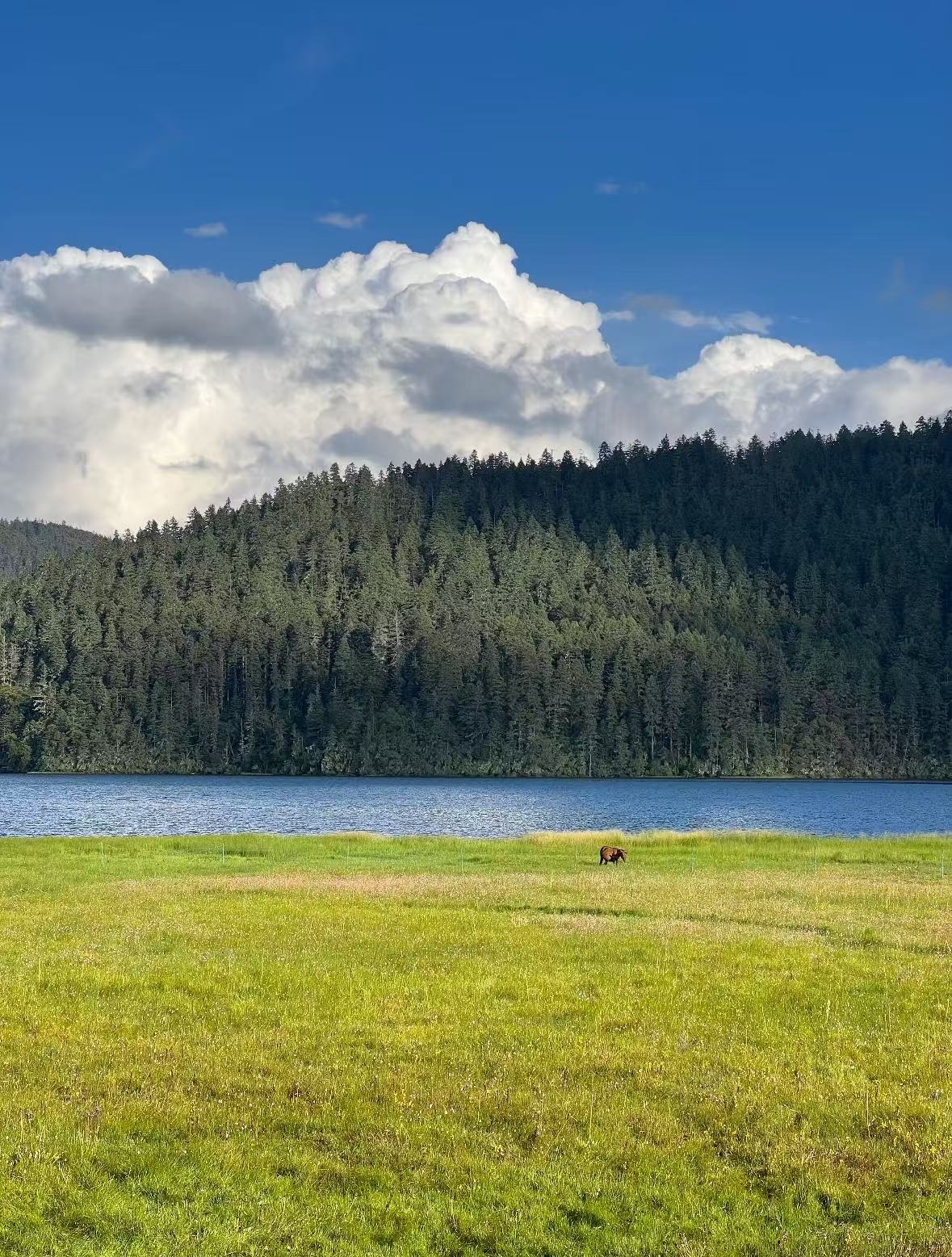 微信图片_20251029153700_29_1