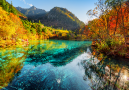 travel picture