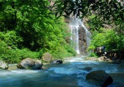 travel picture