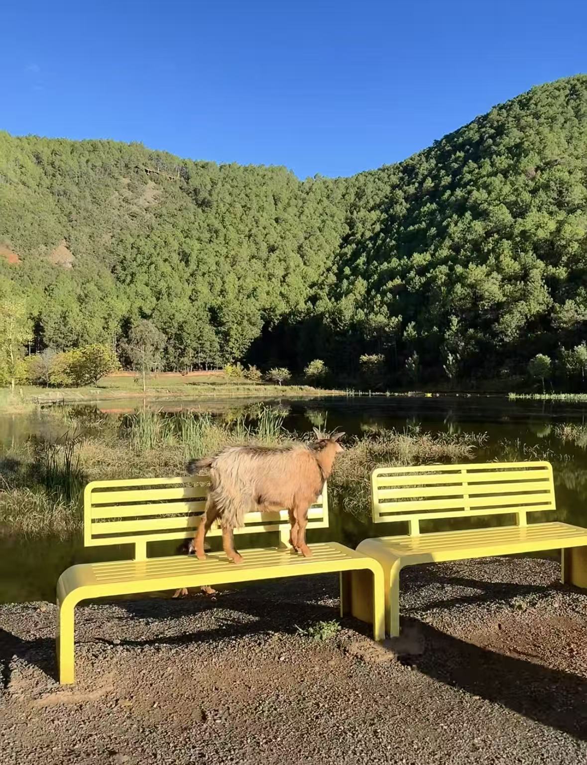 微信图片_20251029144543_16_1