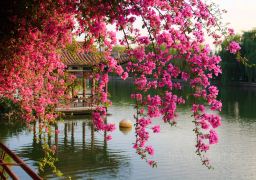 travel picture