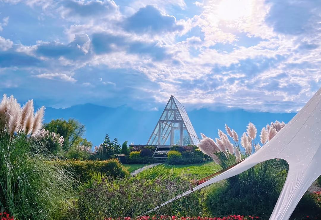 水花庄园 水花庄园