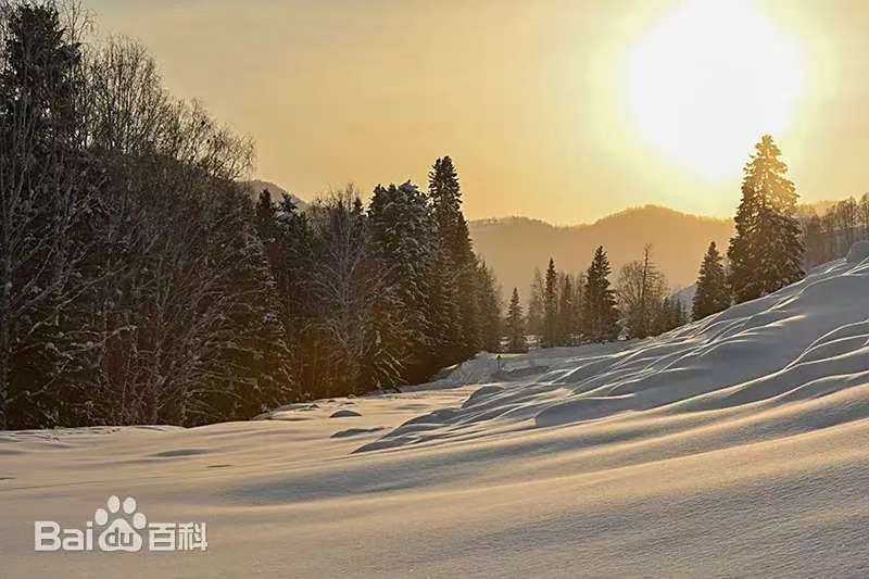 50043aaa7155ba49622c2fdc396d0223 50043aaa7155ba49622c2fdc396d0223