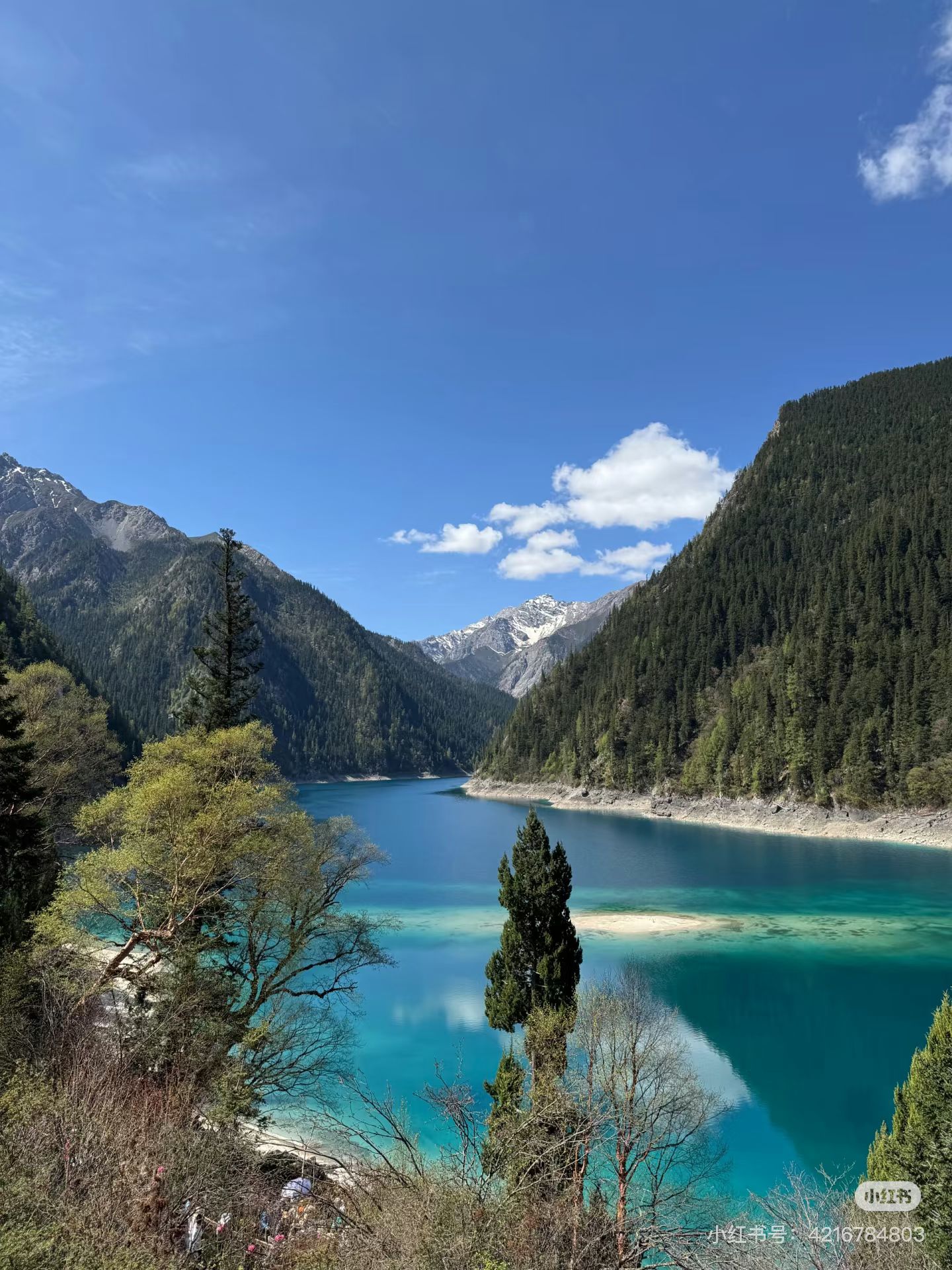 93DFD677720DE6428F318E385DEFCA58