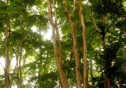 travel picture