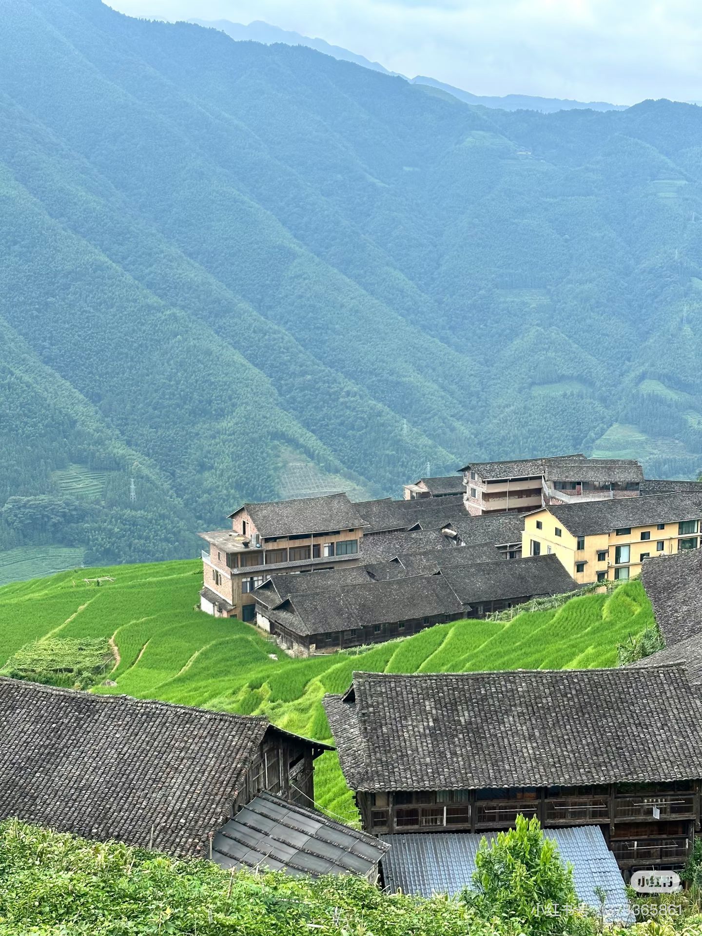 2308C0D59F9D43FC4C4B87A400E7B244