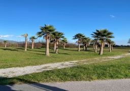 travel picture