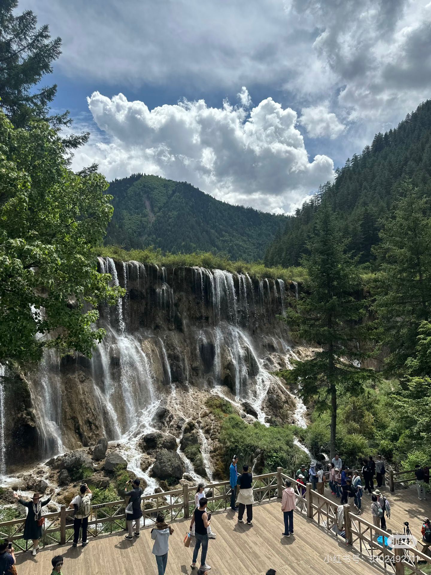 5469871DFCF5CA318A443B81B287D2F8