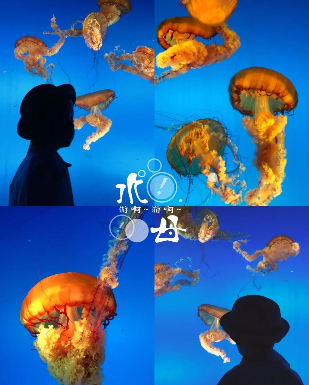 -3b6ee9a02becb2c0.jpg