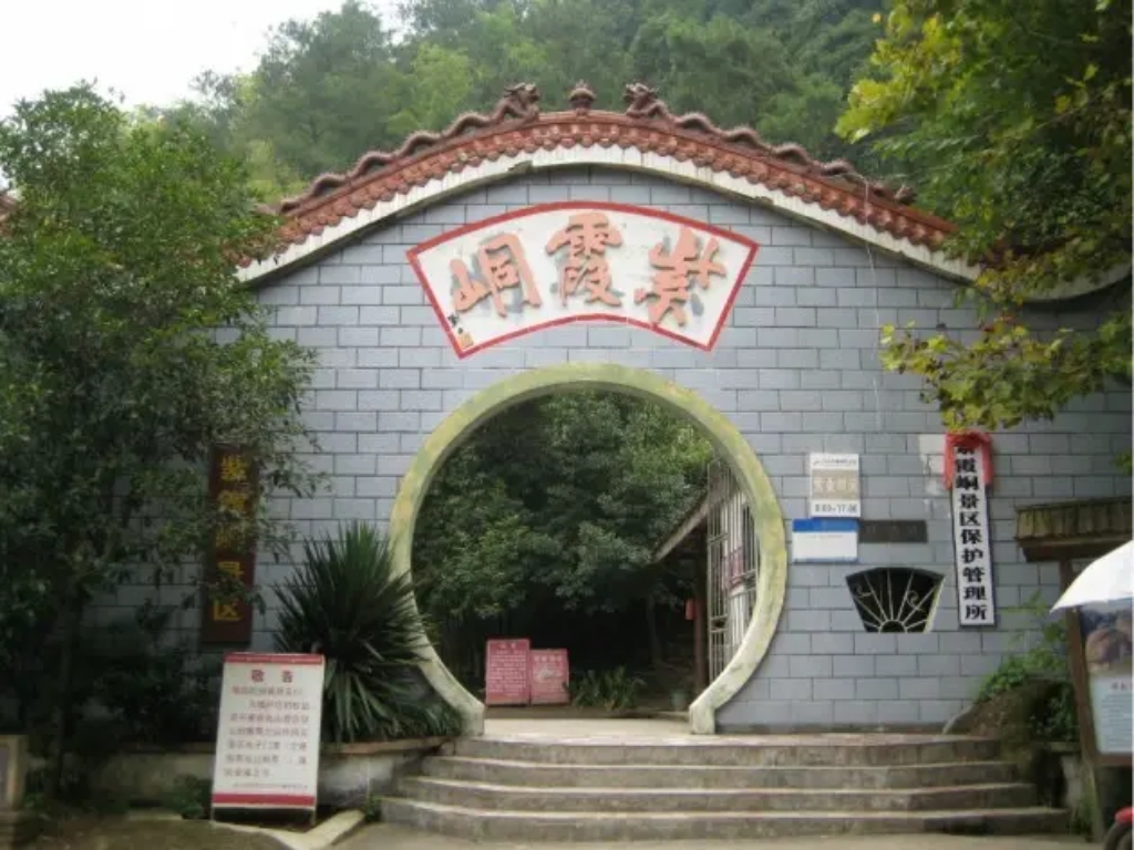 555.jpg