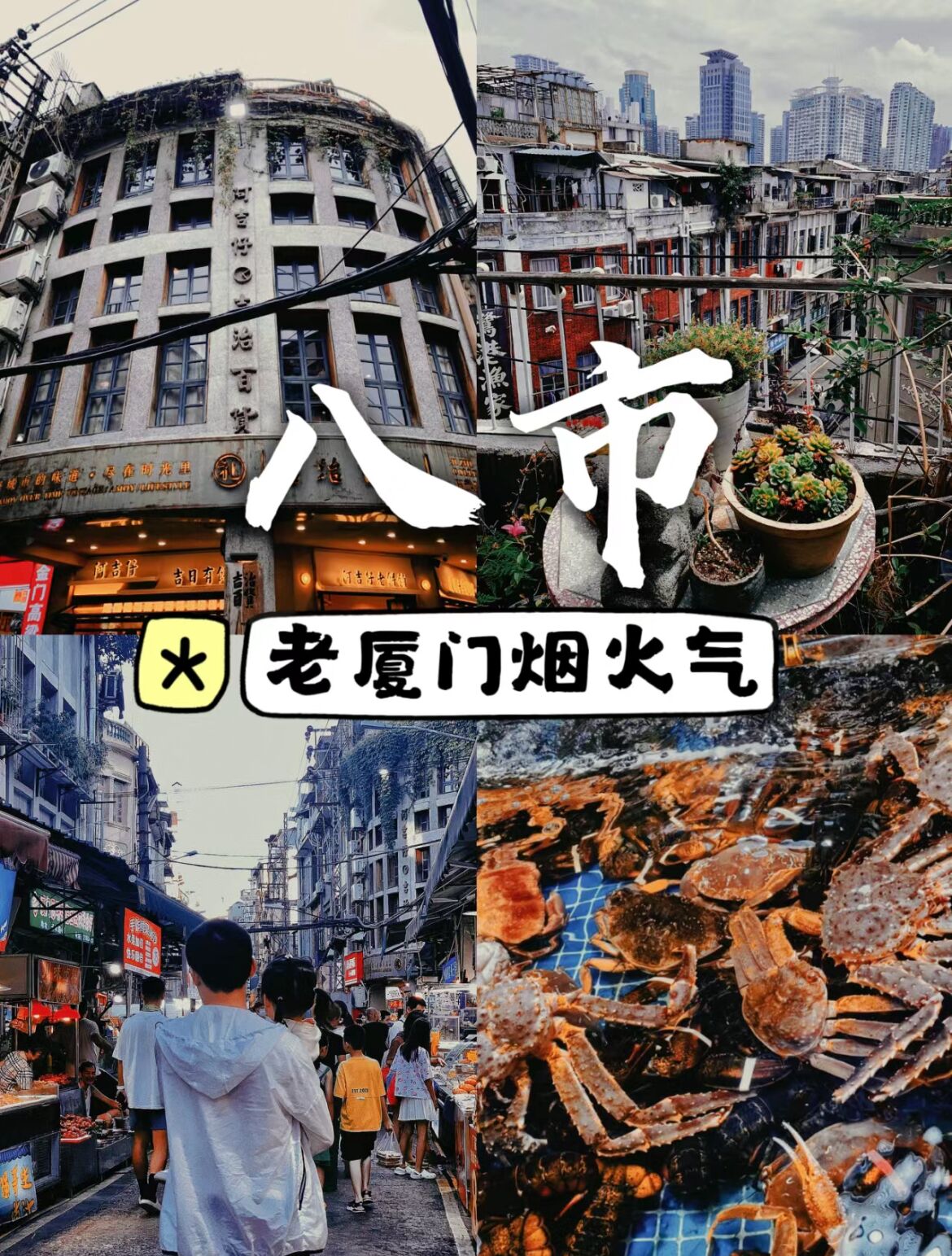 QQ图片20240701151210.jpg