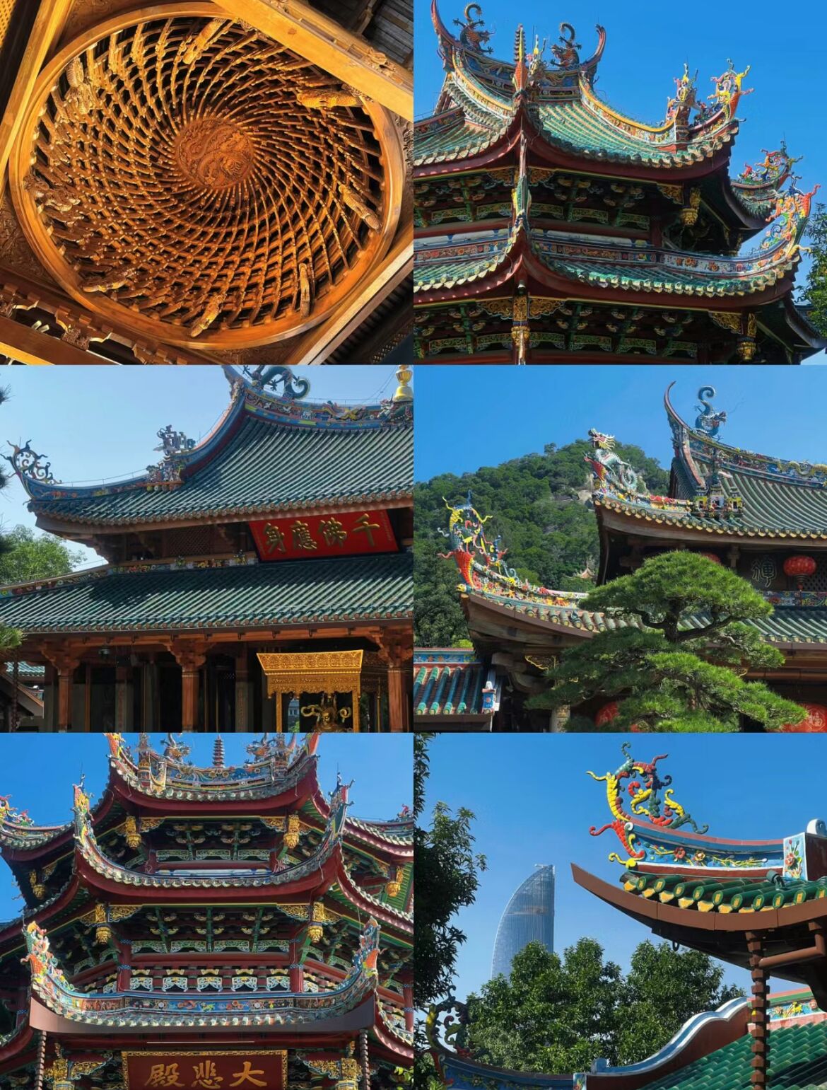 QQ图片20240701151848.jpg