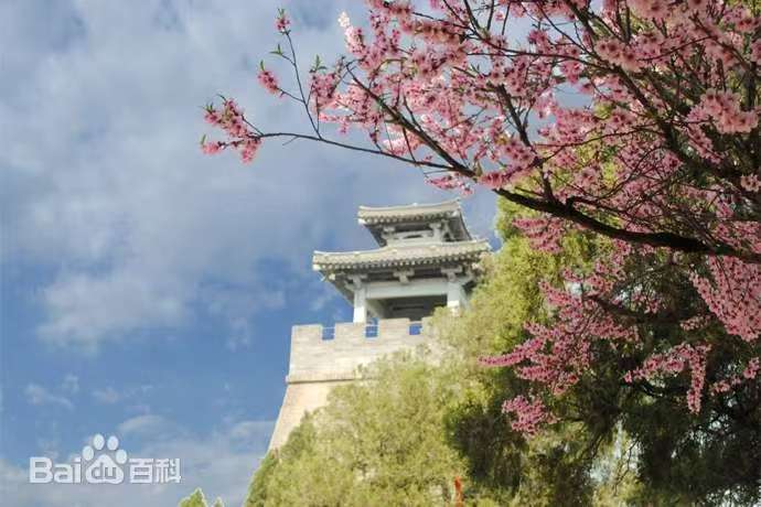 16b360b4914de49c1e3f0b96fd7867d3