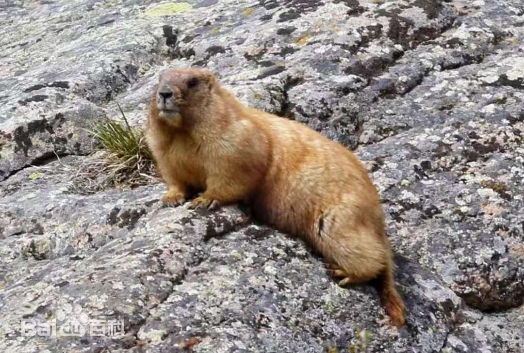 aa46988e2de76ffdc9384da539d290e0 aa46988e2de76ffdc9384da539d290e0