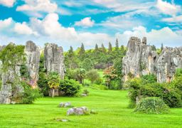 travel picture