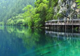 travel picture