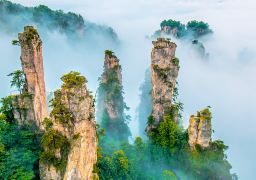 travel picture