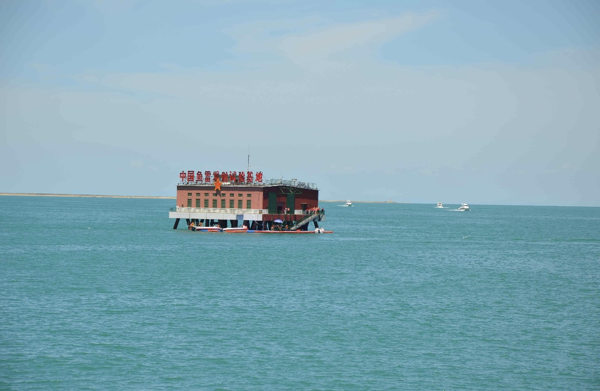 微信图片_20251113000808_93_81 微信图片_20251113000808_93_81