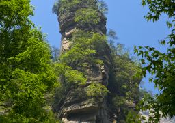 travel picture