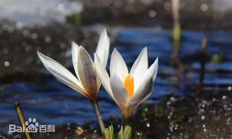 e4366a8c752886542ebae36887a543be e4366a8c752886542ebae36887a543be