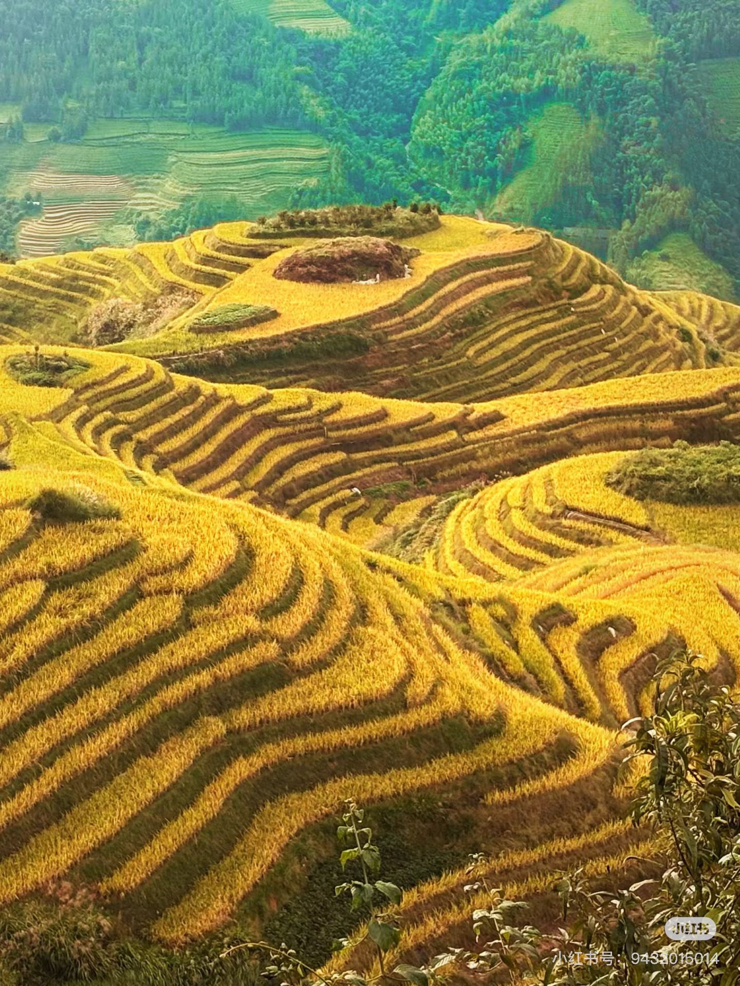 193DF974101D9177010F647A68B1DE75 193DF974101D9177010F647A68B1DE75