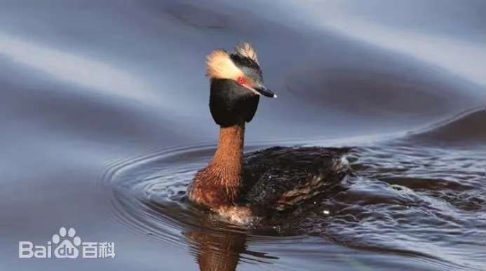 56f87494aff53df2596900fdb697b412 56f87494aff53df2596900fdb697b412