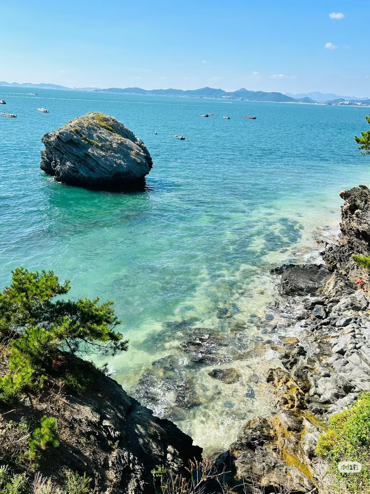 6f7750a7156e56b751a5da78318ec90a