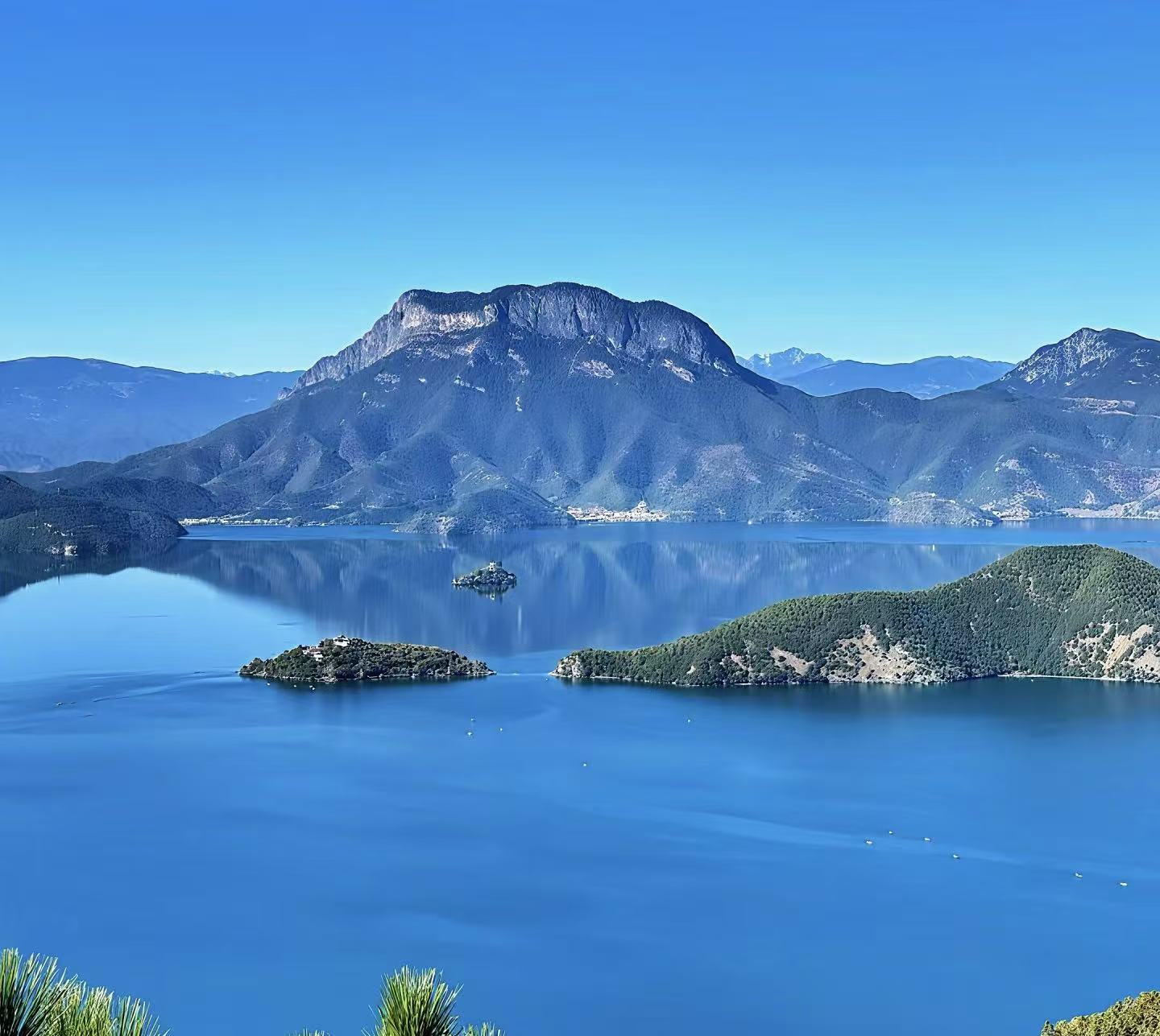 微信图片_20251029143642_9_1