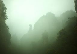 travel picture