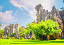 travel picture