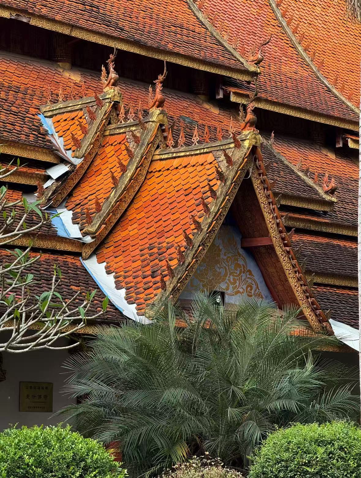 微信图片_20251029160437_45_1