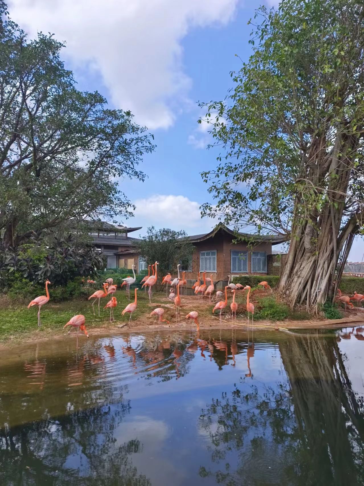 微信图片_20251102104814_135_8