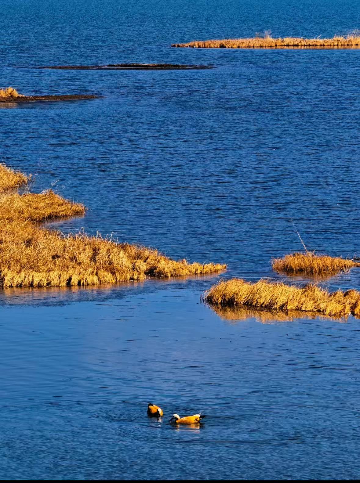 微信图片_20251029153651_28_1