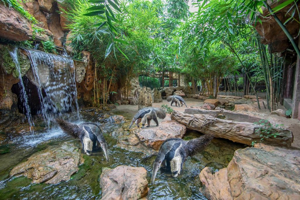 350116000000z6ni4BD1C_D_10000_1200