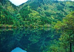 travel picture