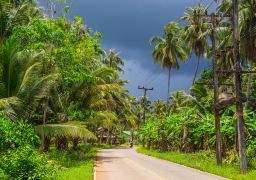 travel picture