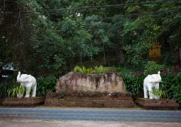 travel picture