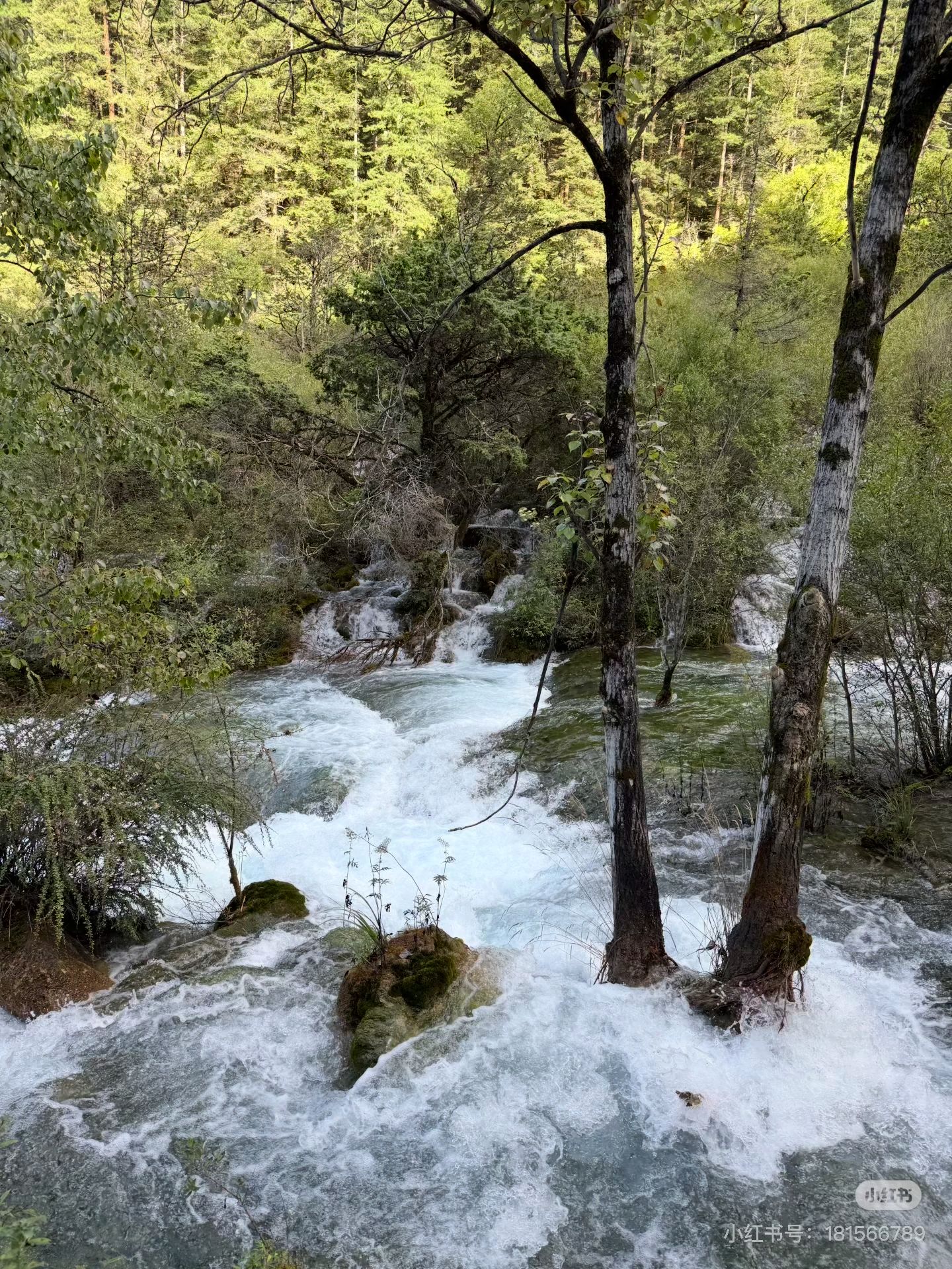 1584B6CB665530B693A48BC1BC2F7848