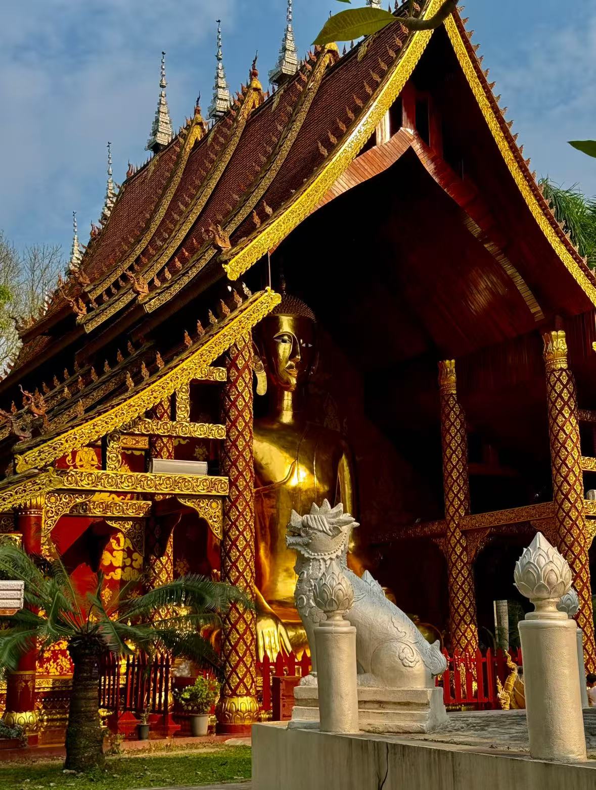 微信图片_20251029160425_44_1