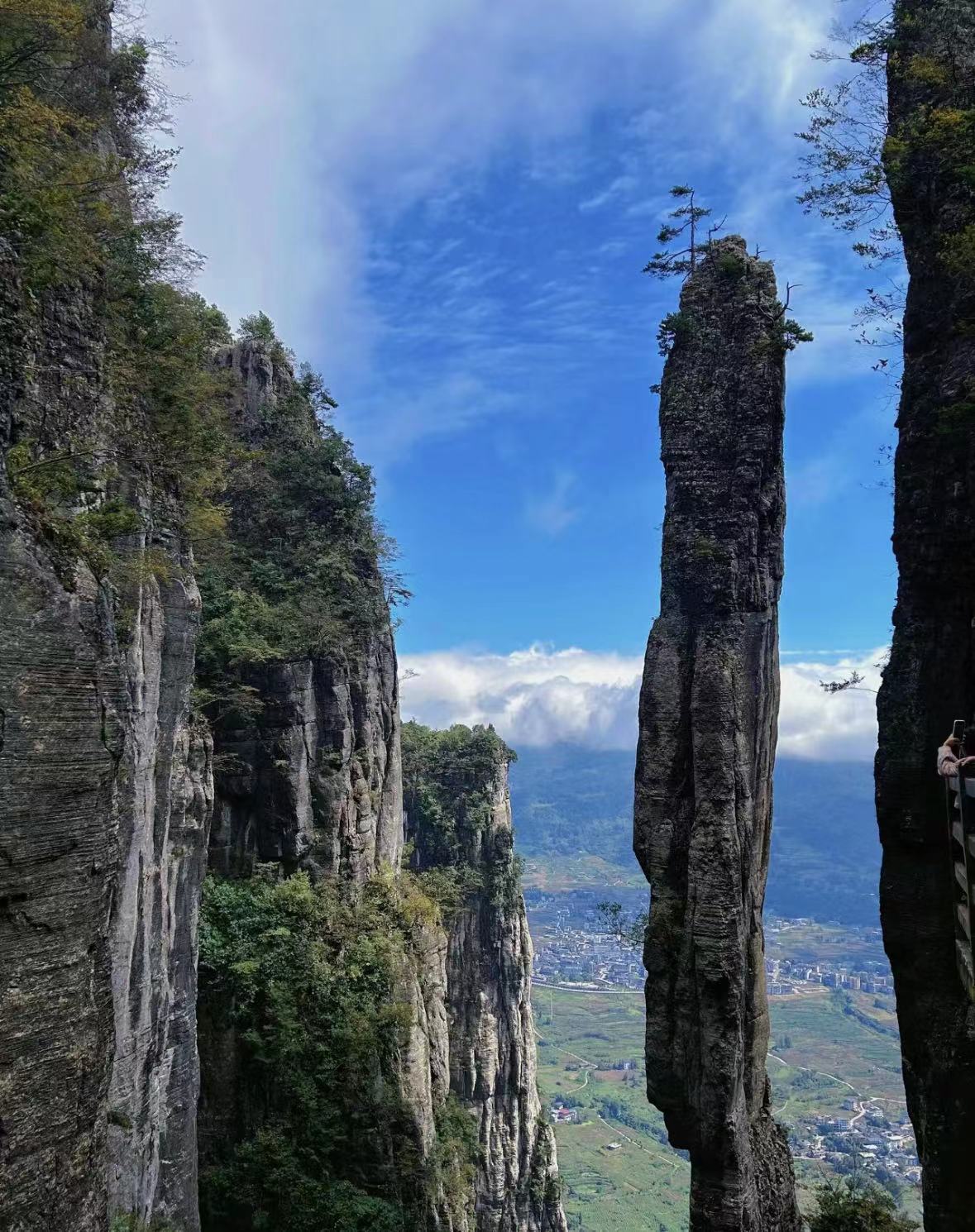 e817af86-50c5-4fcb-a62e-1d3f627616bc