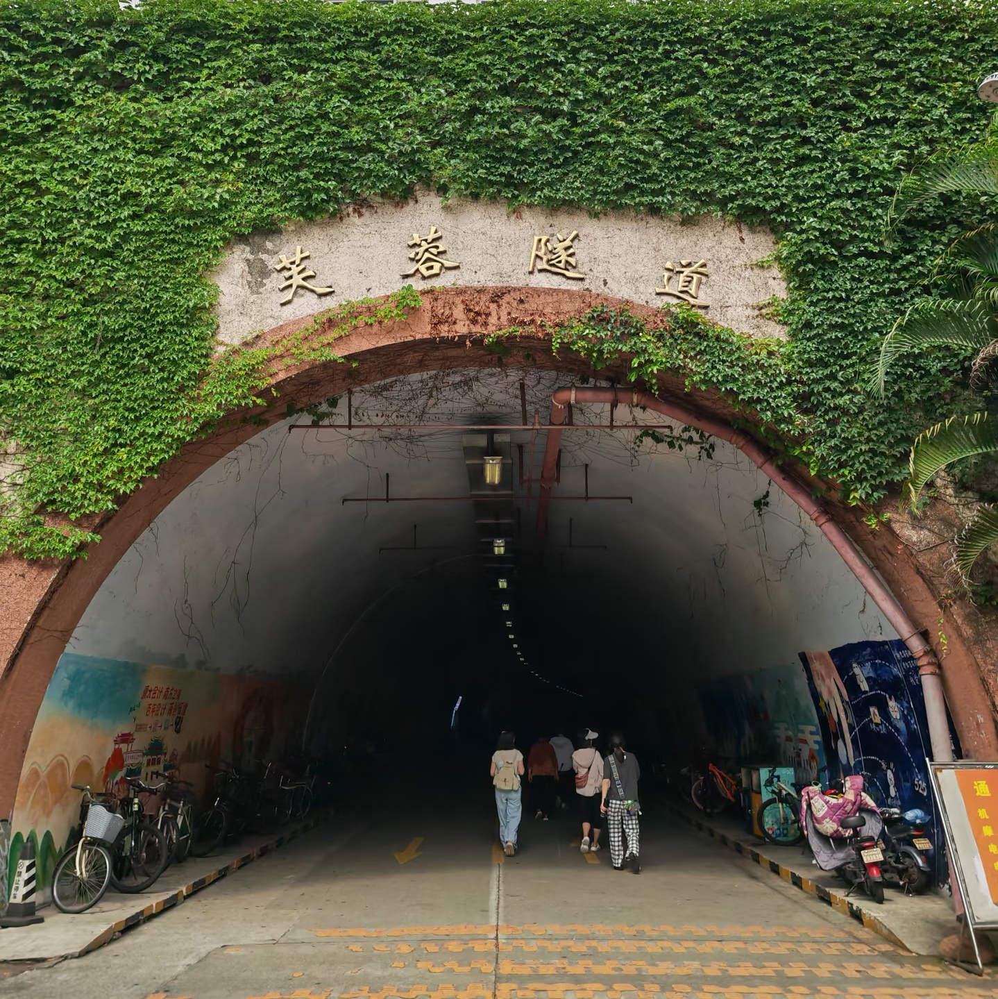 芙蓉隧道