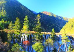 travel picture