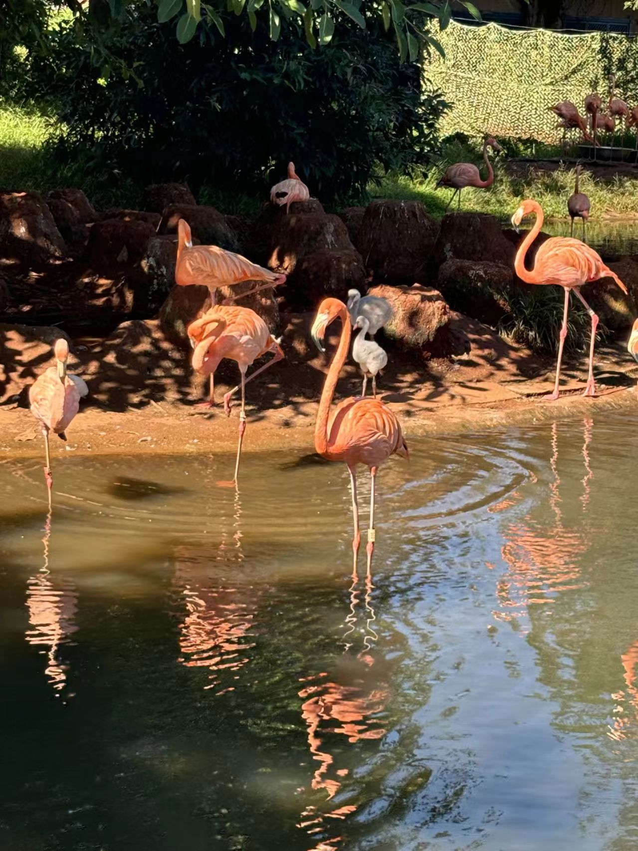 微信图片_20251102104926_137_8