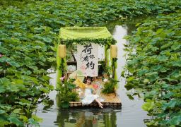 travel picture