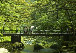 travel picture