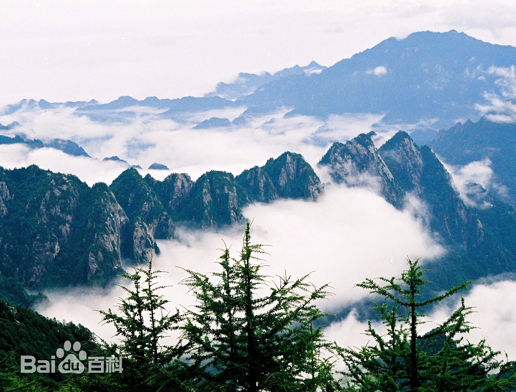 32f149d4aa8270c0872c439425d678ae