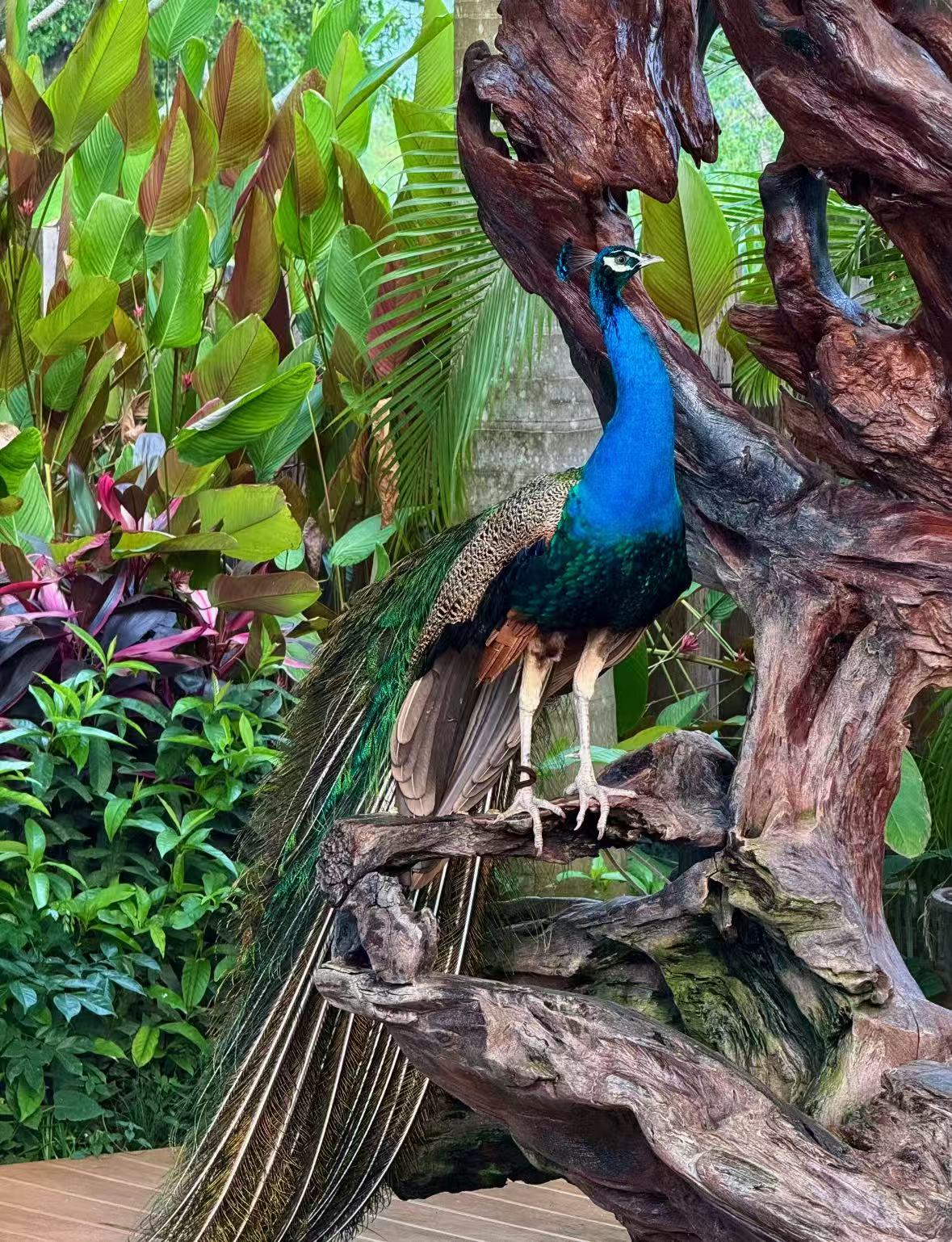 微信图片_20251029160416_43_1