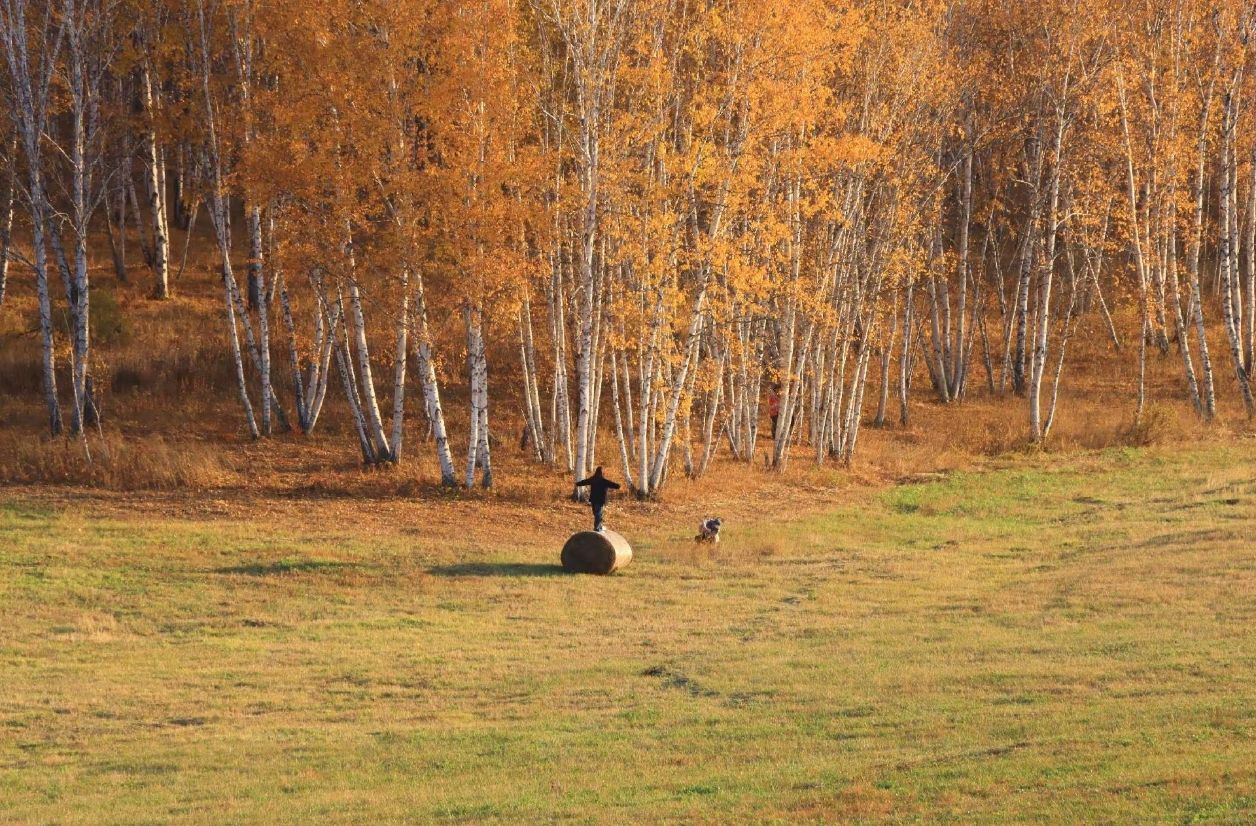 qq_pic_merged_1761719263012