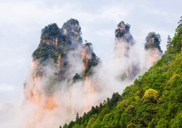 travel picture