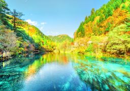 travel picture